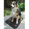 Tapis rafraichissant pour chien Coolmedics