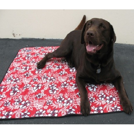 Tapis Rafraichissant pour Chien, 61x73 cm, Coloris : hawai rouge